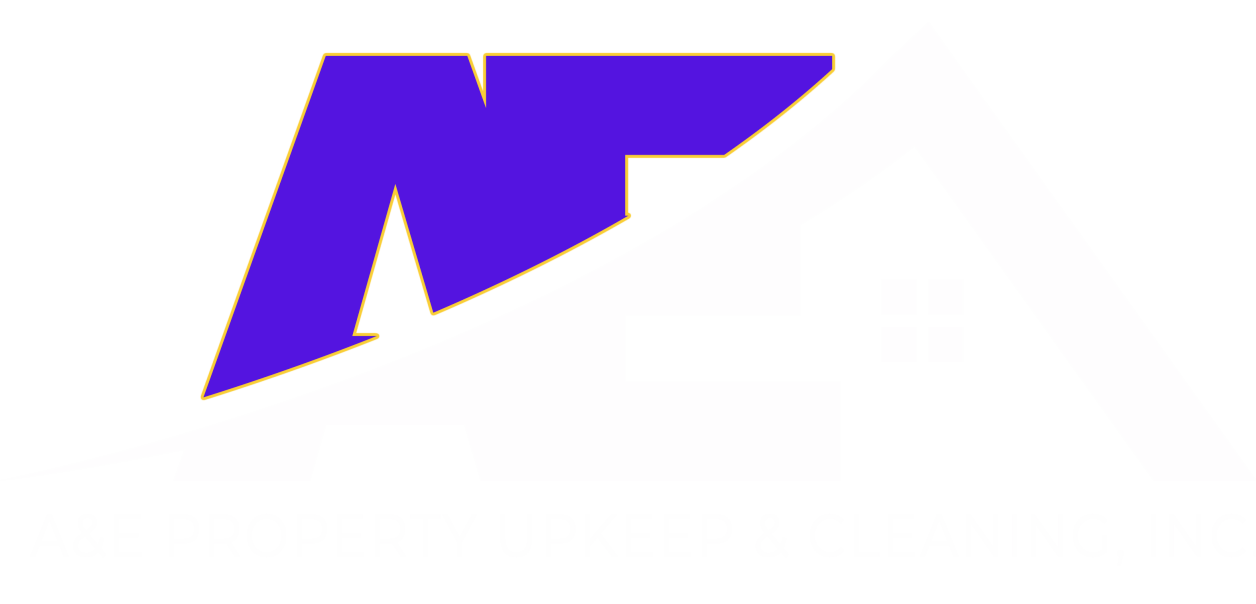 A&E PROPERTY